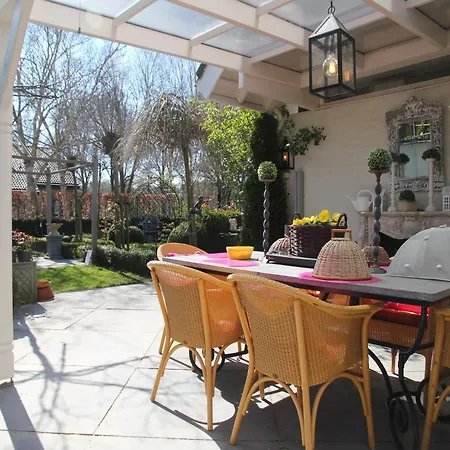 Near Woods And Egmond *