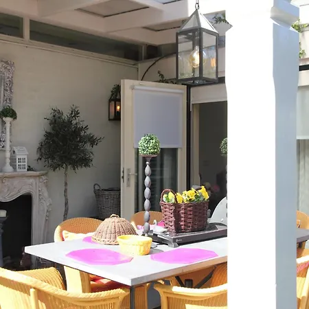 Near Woods And Egmond היילו