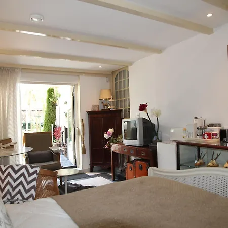 Near Woods And Egmond * Heiloo