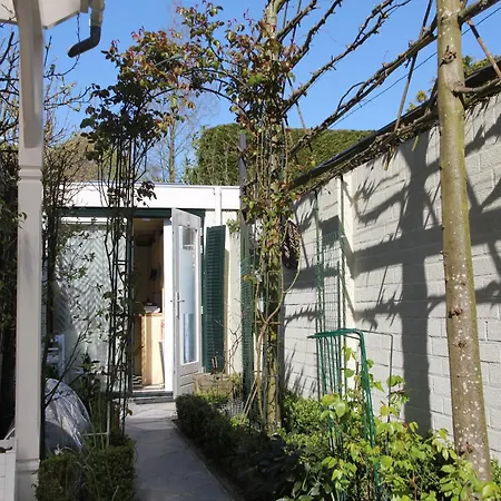 Near Woods And Egmond * Heiloo